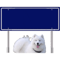 Benji Sticker
