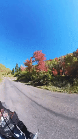 Utah Motorcyclist Captures Beautiful Fall Colors Along Scenic Drive