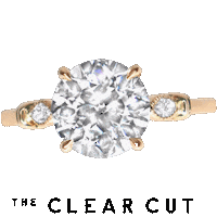 Engagement Ring Sticker by The Clear Cut