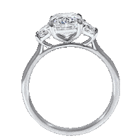Engagement Ring Sticker by The Clear Cut