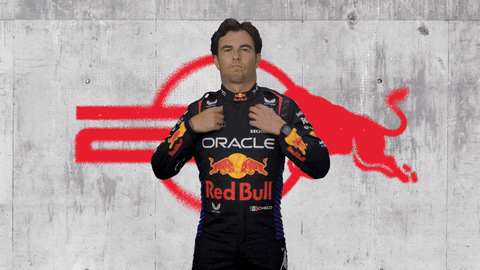 Red Bull Sport GIF by Oracle Red Bull Racing