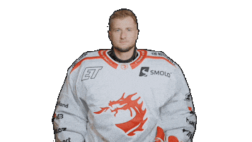 Trinec Sticker by HC Oceláři Třinec