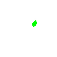 lemonprinters green yellow branding barcelona Sticker