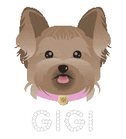 Clean Beauty Czjouer Sticker by Jouer Cosmetics