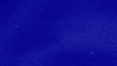 Fish GIF by Jeopardy!