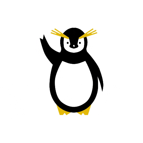 Penguin Hello GIF by Rockhopper Socks