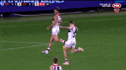 st kilda saints GIF by AFL