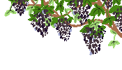 Natural Wine Sticker by eloessi