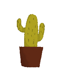 nadianurhanifa cactus cacti nadianurhanifa Sticker
