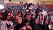 university of oklahoma GIF