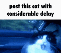 Cat Panic GIF
