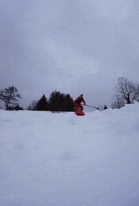 Soulride positive sup trees skiing GIF