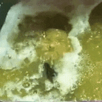 vincent price cult movies GIF by absurdnoise