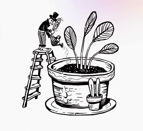 TodayMade Subscription-based design agency