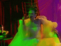 GIF by k.d. lang