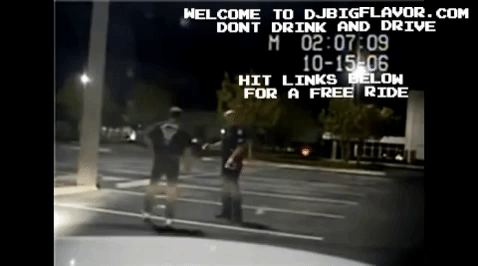 djbigflavor.com dont drink and drive GIF