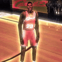 Lebron James Nba GIF by Respective