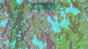 Wave Waving GIF by The NGB