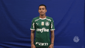 bye bye soccer GIF by SE Palmeiras