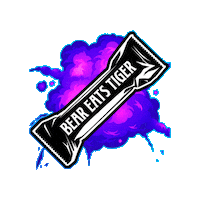 G2 Esports Sticker by Bear Eats Tiger