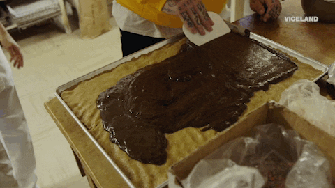 GIF by Dead Set on Life