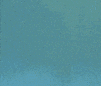 espn josh GIF