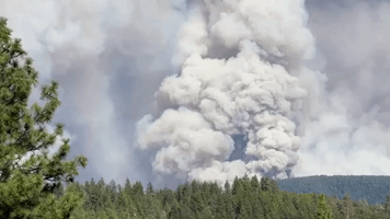 Huge Smoke Clouds Seen in Northern California as Mosquito Fire Spreads