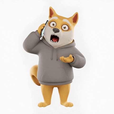 Shiba Inu What GIF by Doge Pound