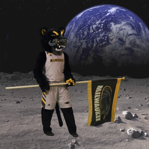panthers pounce GIF by UW-Milwaukee