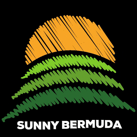 SunnyBermuda giphygifmaker sunny lawn sunny bermuda GIF