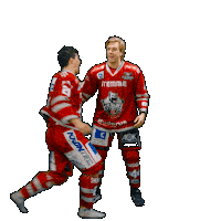 Hockey Del2 Sticker by Eisbären Regensburg