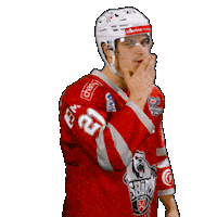 Hockey Del2 Sticker by Eisbären Regensburg