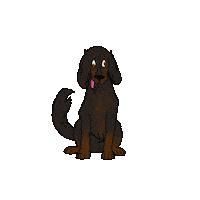 Good Boy Dog Sticker by mackelangelo