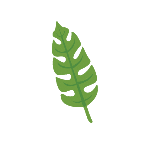 leaf Sticker by Vita Coco