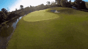Golf GIF