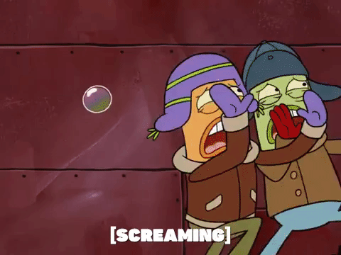 season 5 GIF by SpongeBob SquarePants