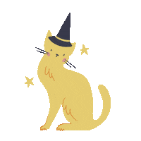 alicecaldarella cat star witch gatto Sticker