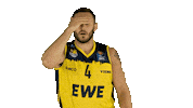 Ewe Baskets Basketball Sticker by EWE Baskets Oldenburg