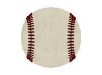 Baseball Sarapegif Sticker by Saraperos de Saltillo