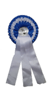 VER-Dinale horse ribbon reiten schleife Sticker