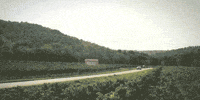 france car GIF by Audi