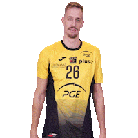 Volleyball Ok Sticker by PGE Skra Bełchatów