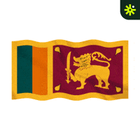 Sticker Flag GIF