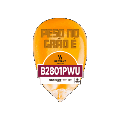 2801 Sticker by Brevant Sementes