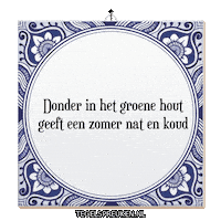Storm Nl Sticker by Tegelspreuken.nl