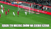 GIF by TVP.PL