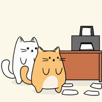 Fail White Cat GIF by MESA My Emotional Support Animal