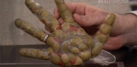 jimmy fallon hand GIF by The Tonight Show Starring Jimmy Fallon