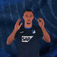 Sport Bundesliga GIF by TSG Hoffenheim
