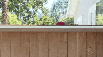 Peek Peep GIF by Big Brother
